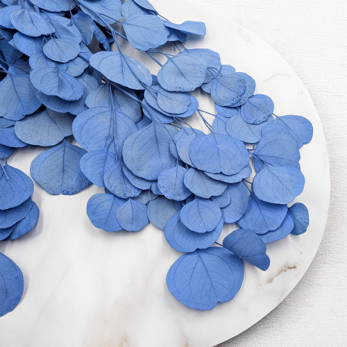 POPULUS ROYAL BLUE 2.png