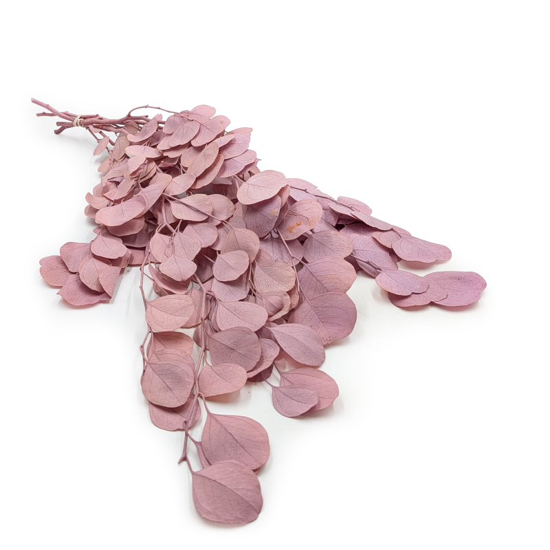 POPULUS ROYAL SAND BEIGE.png