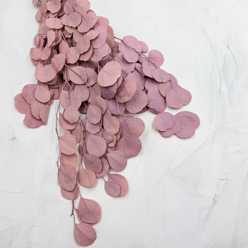 POPULUS ROYAL SAND BEIGE 1.png