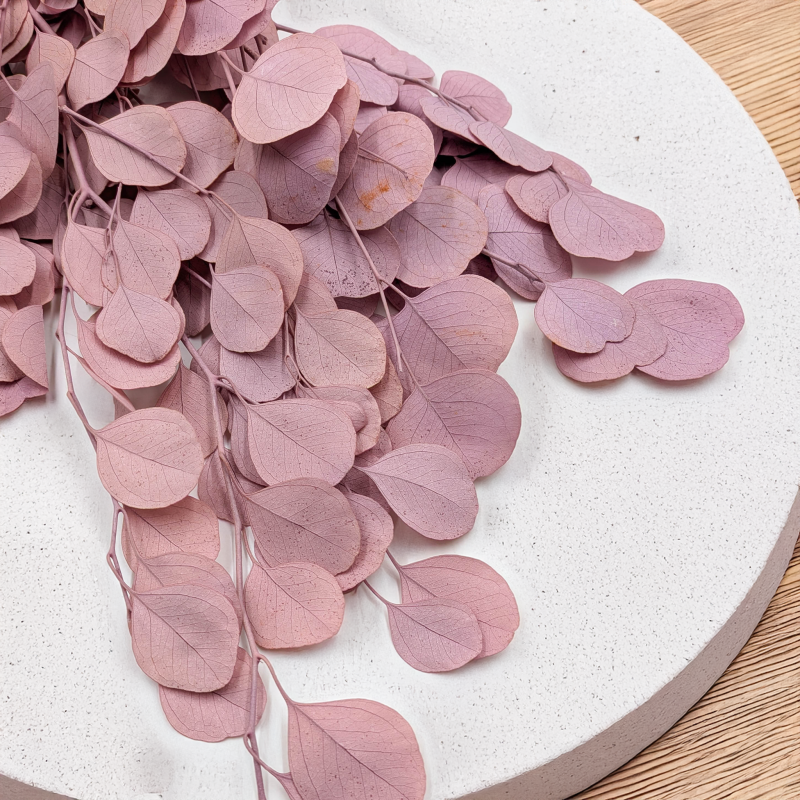 POPULUS ROYAL SAND BEIGE 2.png