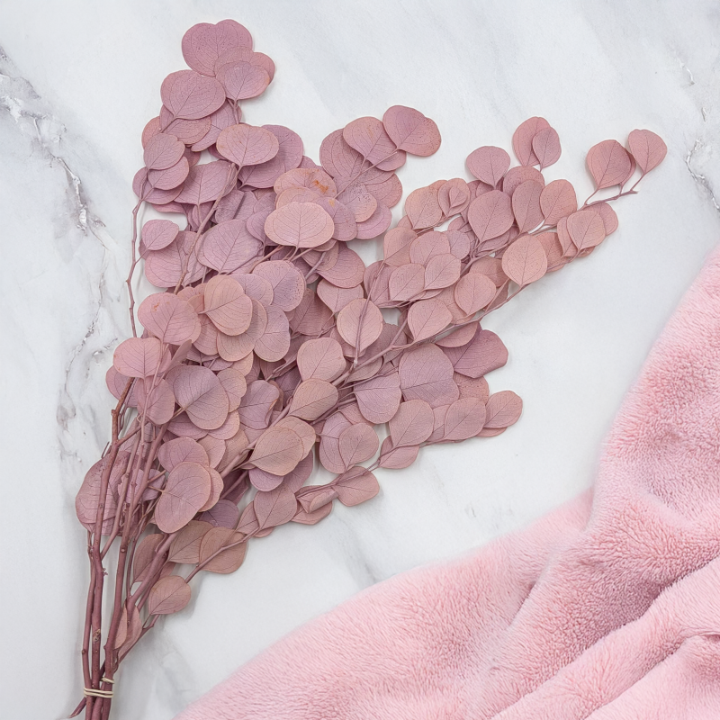 POPULUS ROYAL SAND BEIGE 3.png