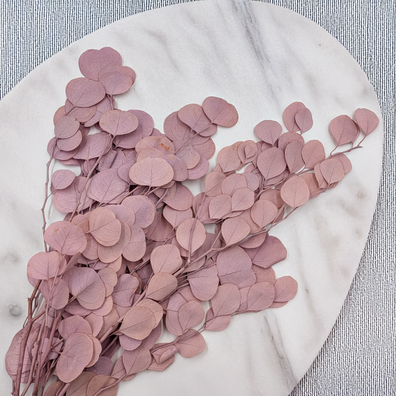 POPULUS ROYAL SAND BEIGE 4.png