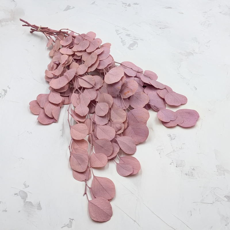 POPULUS ROYAL SAND BEIGE 6.png