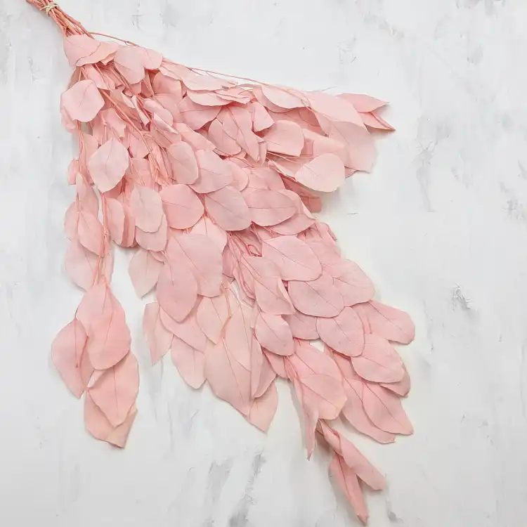 POPULUS ROYAL LT PINK 1.png