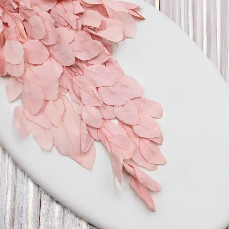 POPULUS ROYAL LT PINK 2.png