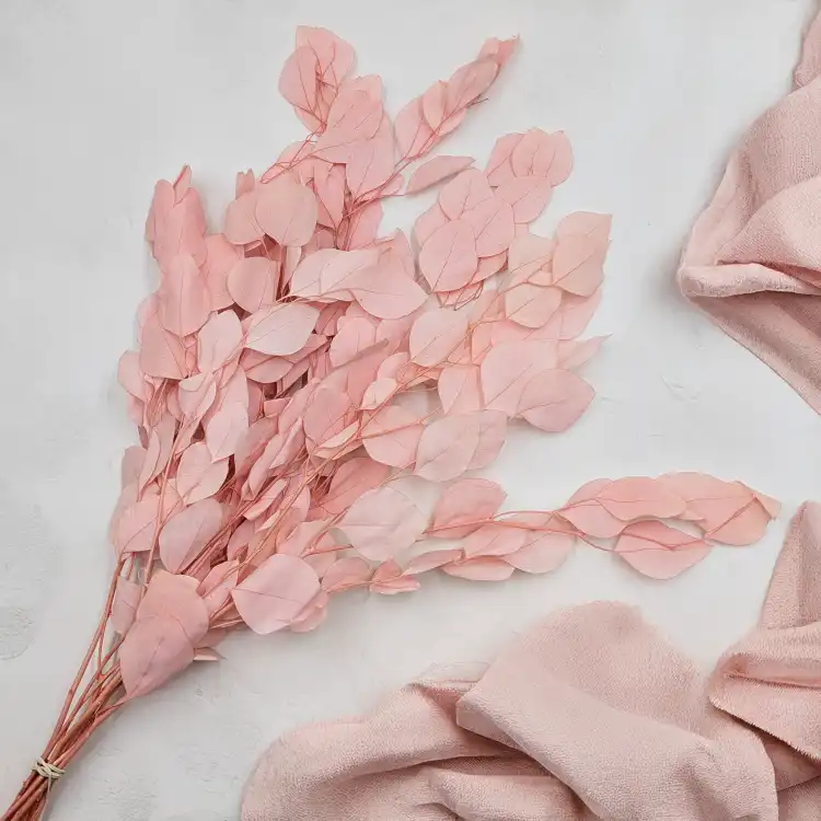 POPULUS ROYAL LT PINK 3.png