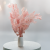 POPULUS ROYAL LT PINK 7.png