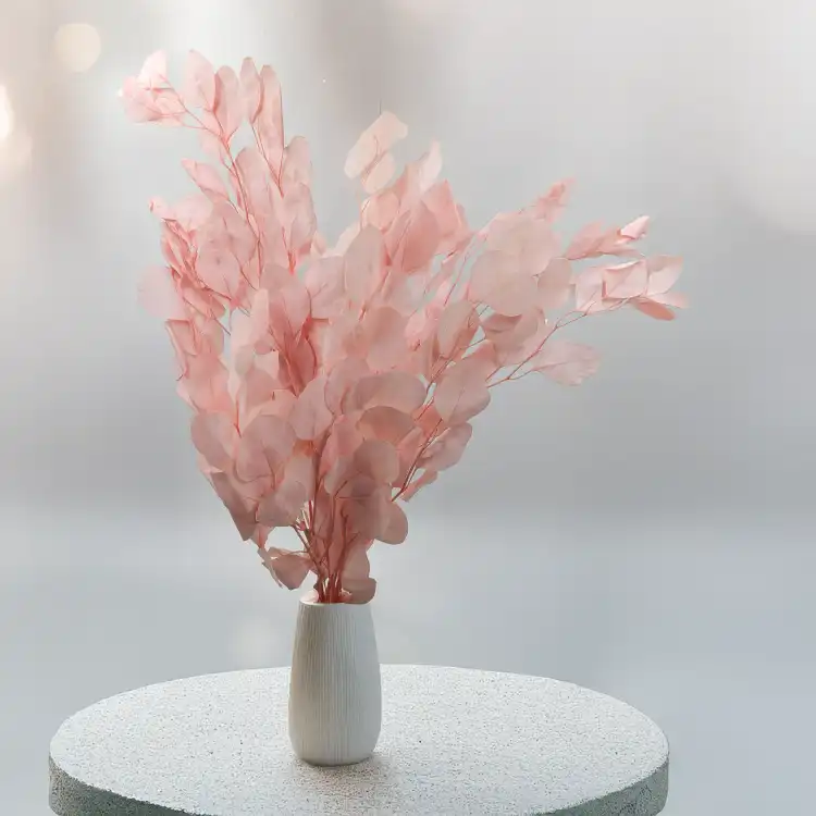 POPULUS ROYAL LT PINK 7.png
