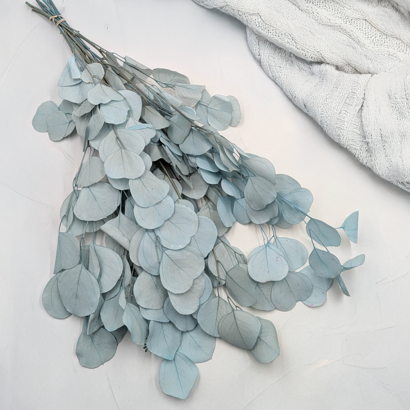 POPULUS ROYAL LT BLUE 1.png