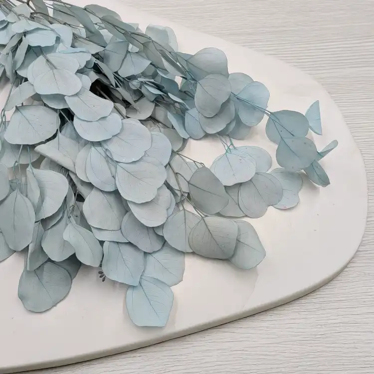 POPULUS ROYAL LT BLUE 2.png