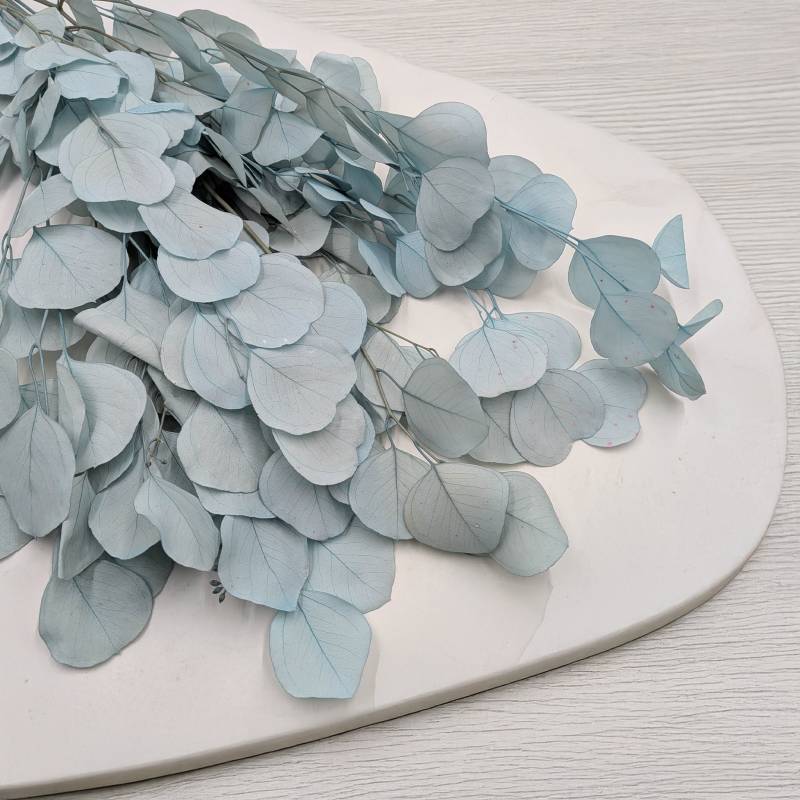 POPULUS ROYAL LT BLUE 2.png