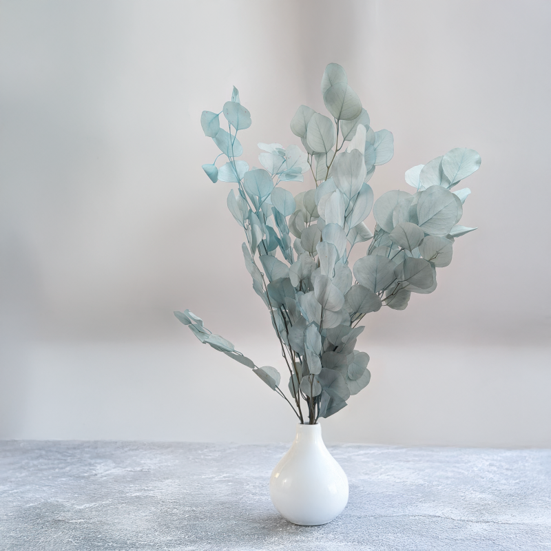 POPULUS ROYAL LT BLUE 6.png