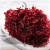 Hydrangea Royal Burgund 2.png