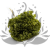 Hydrangea Royal Green.png