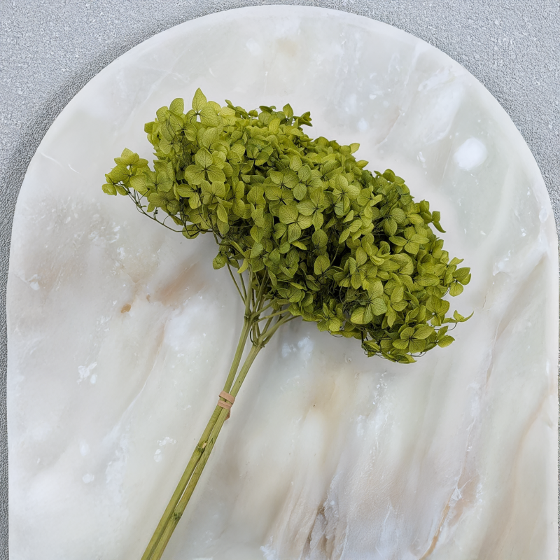 Hydrangea Royal Green 4.png