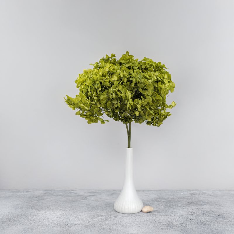 Hydrangea Royal Green 6.png