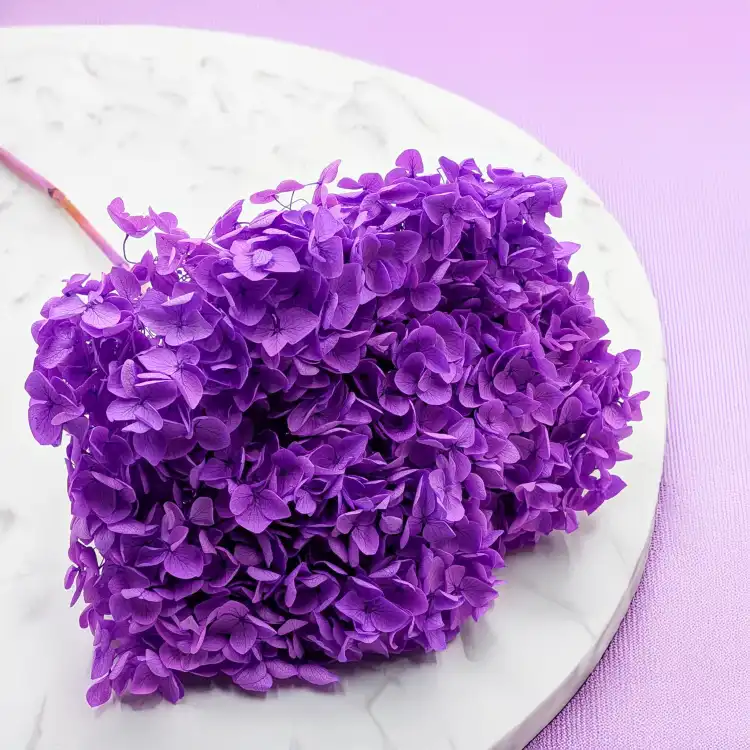 Hydrangea Royal Lavenda 2.png