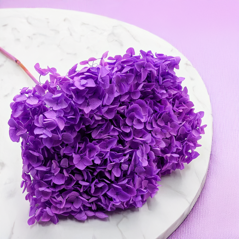 Hydrangea Royal Lavenda 2.png