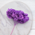 Hydrangea Royal Lavenda 3.png