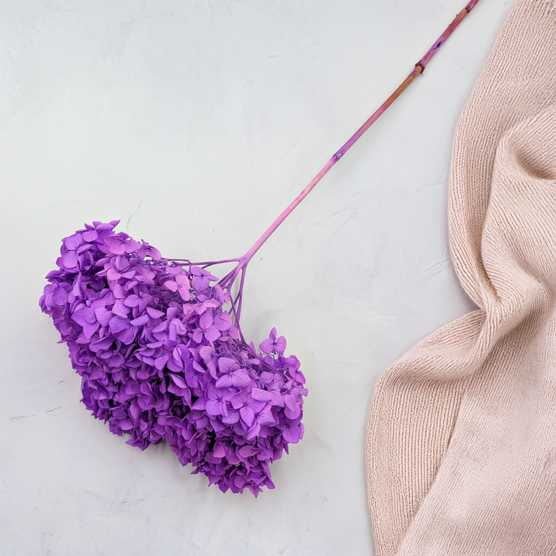 Hydrangea Royal Lavenda 4.png