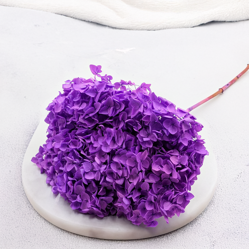 Hydrangea Royal Lavenda 5.png