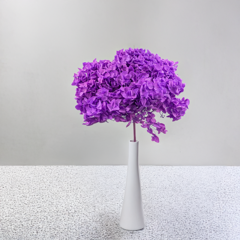 Hydrangea Royal Lavenda 6.png