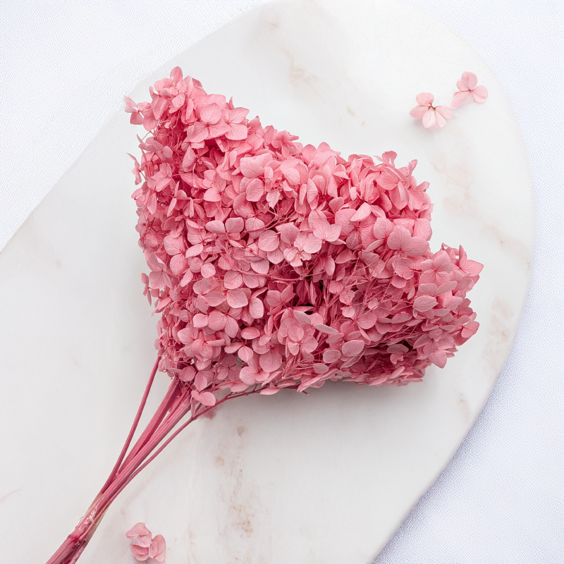 Hydrangea Royal Pink 2.png