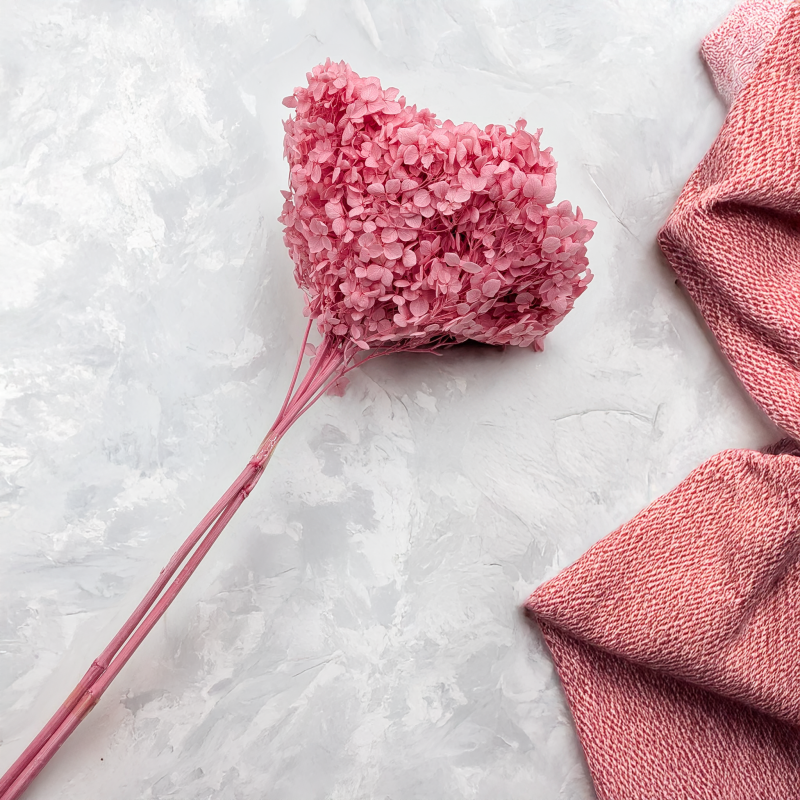 Hydrangea Royal Pink 3.png