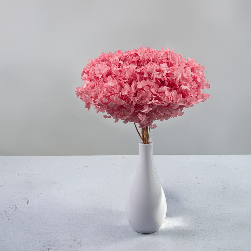 Hydrangea Pink Royal 03 5.png