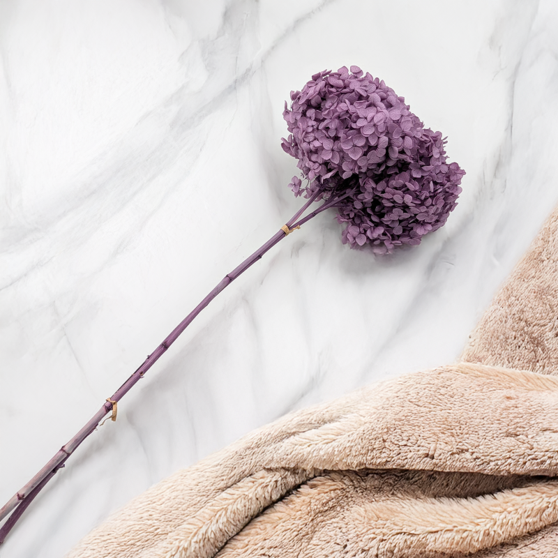 HYDRANGEA LAVENDER ROYAL 24 4.png