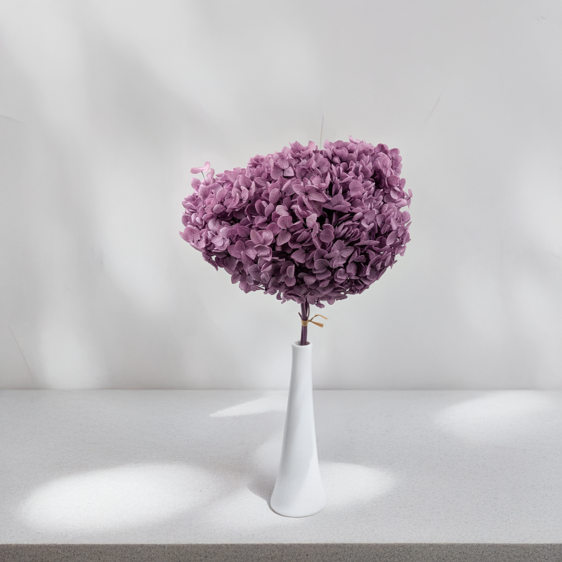 HYDRANGEA LAVENDER ROYAL 24 6.png