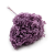 HYDRANGEA LAVENDER ROYAL 24.png