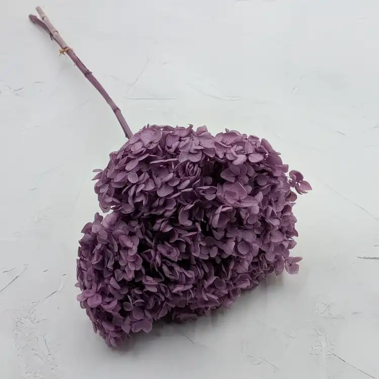 HYDRANGEA LAVENDER ROYAL 24 1.png