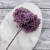 HYDRANGEA LAVENDER ROYAL 24 3.png