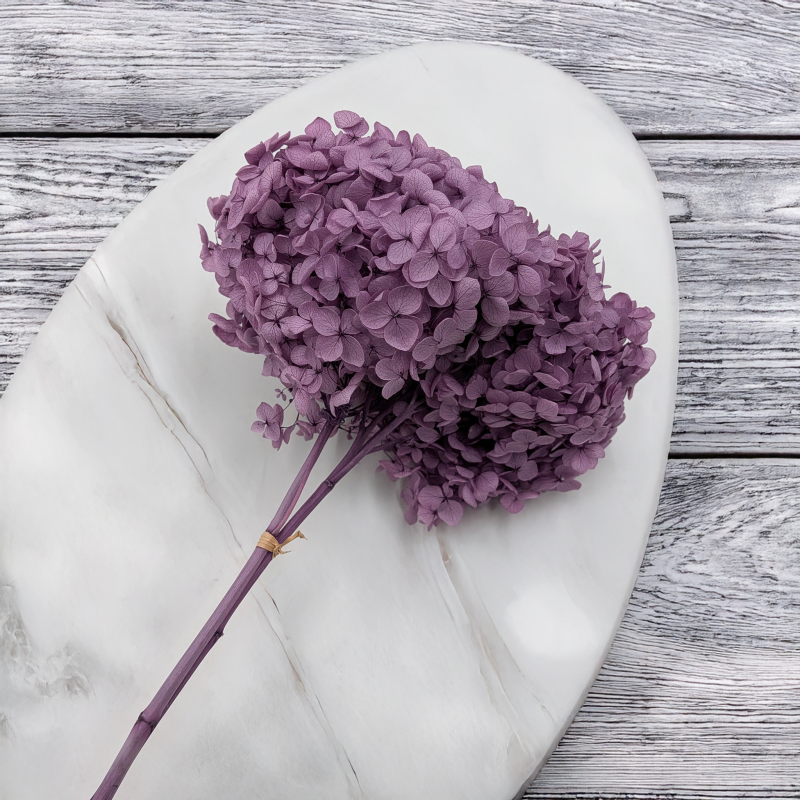 HYDRANGEA LAVENDER ROYAL 24 3.png