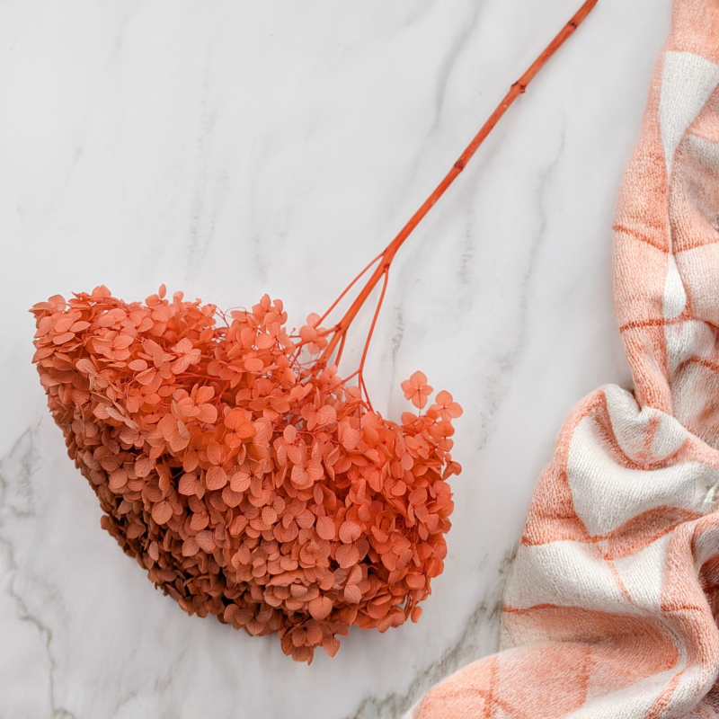 Hydrangea Royal Sand Beige 3.png