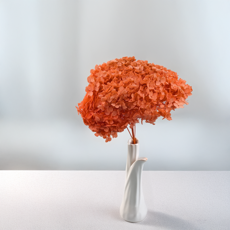 Hydrangea Royal Sand Beige 4.png