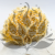 HYDRANGEA SOFT YELLOW ROYAL 11 1.png