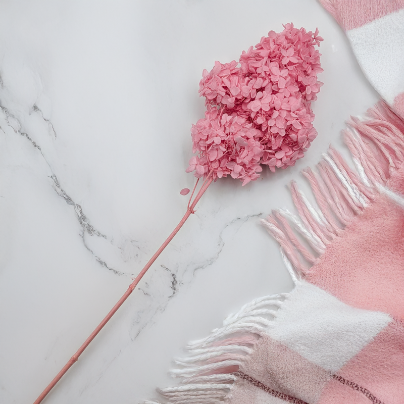 Hortensja Conical różowa 5.png