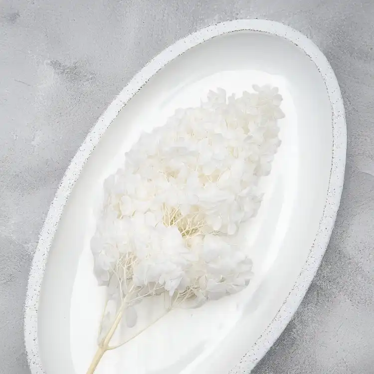 Hydrangea Conical Bleached3.jpg