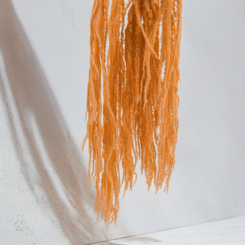 Szarlat Peach Royal 6.png