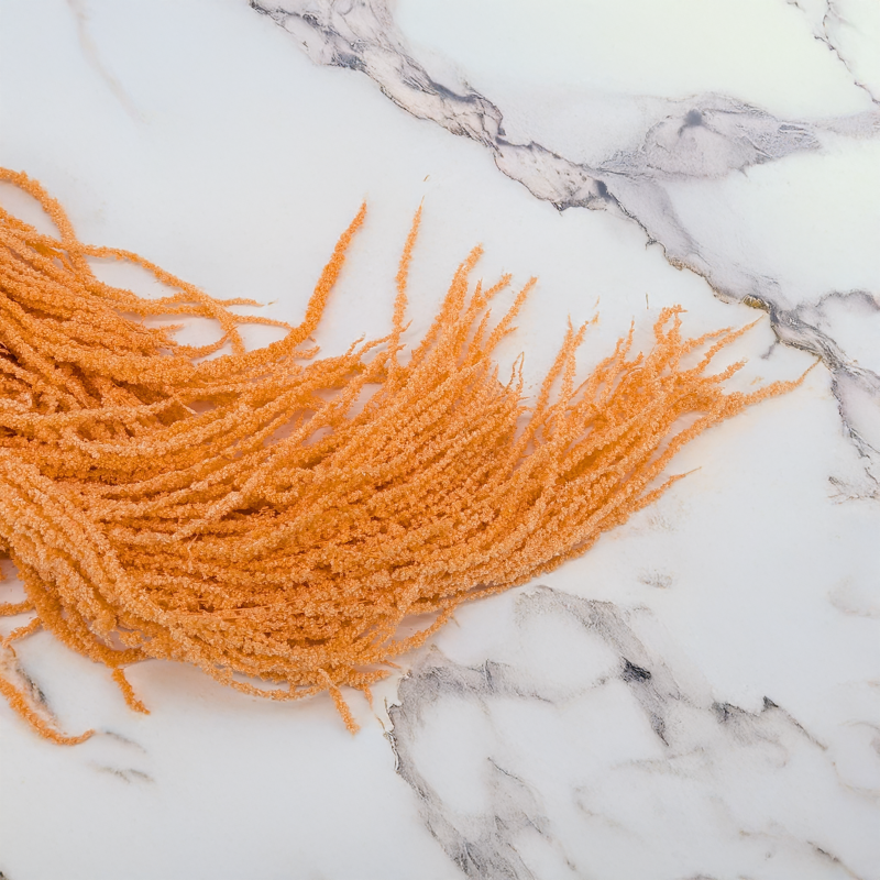 Szarlat Peach Royal 3.png