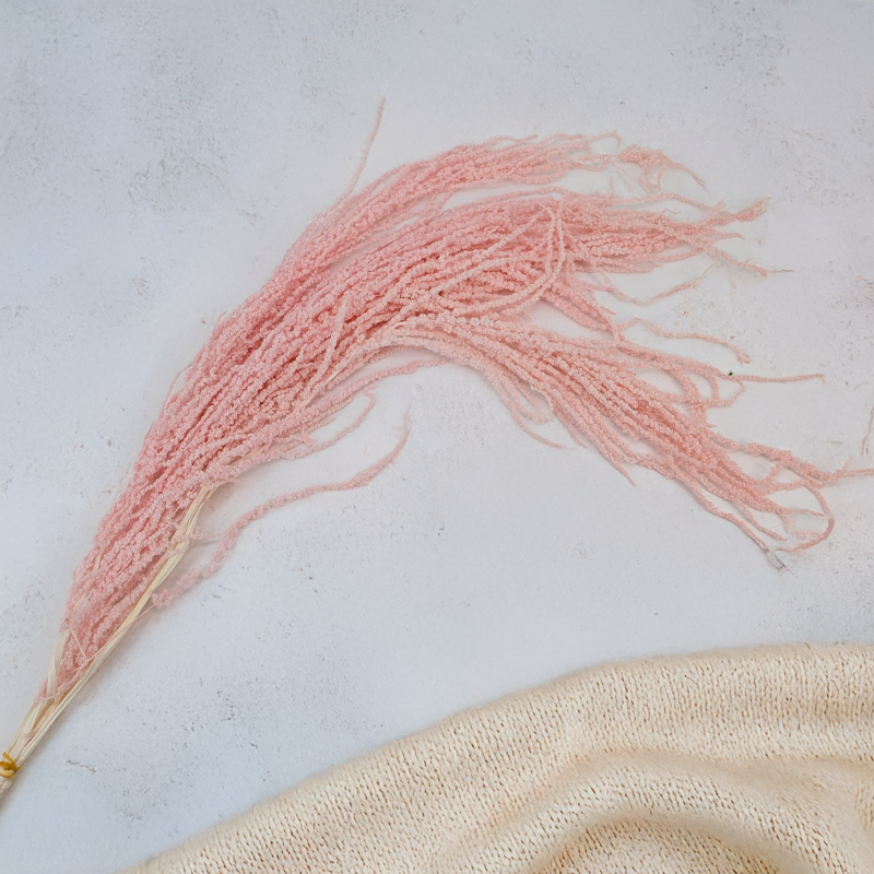 Szarlat Royal Salmon 4.png