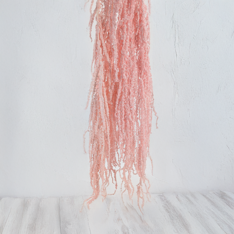 Szarlat Royal Salmon 5.png