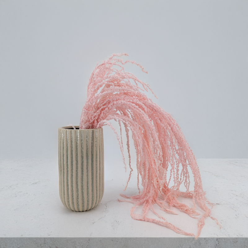 Szarlat Royal Salmon 6.png