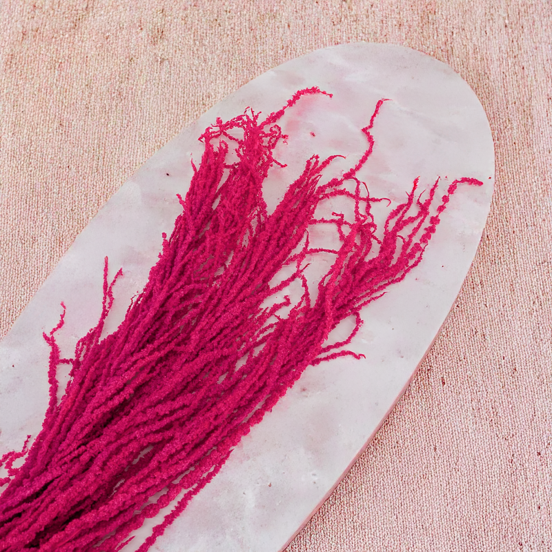 Szarlat Fuchsia Royal 3.png