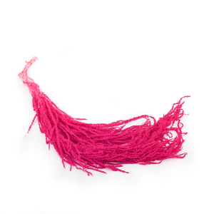 Preserved Amaranthus - Royal – Fuchsia