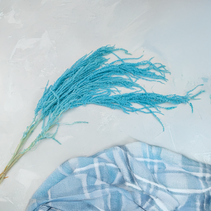 Szarlat Mint Blue Royal 2.png