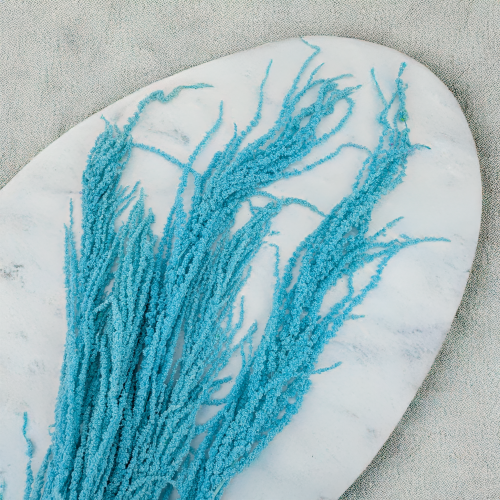 Szarlat Mint Blue Royal 3.png