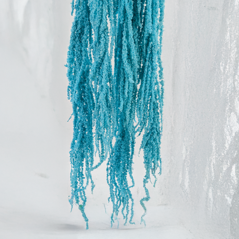 Szarlat Mint Blue Royal 4.png